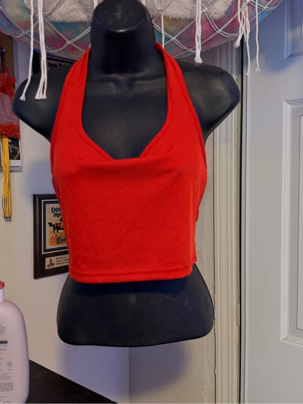 SHEIN Red Halter Neck Crop Top